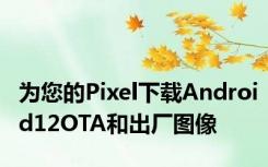 为您的Pixel下载Android12OTA和出厂图像