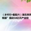 （乡村行·看振兴）湖北来凤：“一根藤”撬动16亿元产业链