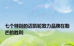 七个特别的迈凯轮致力品牌在勒芒的胜利