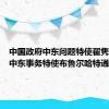 中国政府中东问题特使翟隽同瑞士中东事务特使布鲁尔哈特通电话