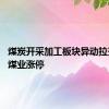 煤炭开采加工板块异动拉升 安源煤业涨停