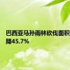 巴西亚马孙雨林砍伐面积同比下降45.7%