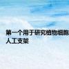 第一个用于研究植物细胞生长的人工支架