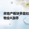 房地产板块早盘拉升 深物业A涨停
