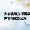 安徽省级指挥田早稻亩产实测623公斤