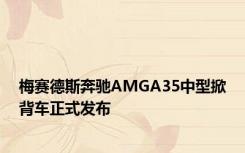 梅赛德斯奔驰AMGA35中型掀背车正式发布