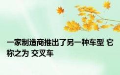 一家制造商推出了另一种车型 它称之为 交叉车