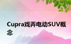 Cupra戏弄电动SUV概念
