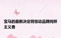宝马的最新决定将惊动品牌纯粹主义者