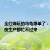 全红婵玩的乌龟爆单了：商家连夜生产都忙不过来