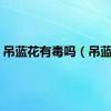 吊蓝花有毒吗（吊蓝花）