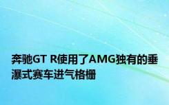 奔驰GT R使用了AMG独有的垂瀑式赛车进气格栅