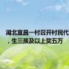 湖北宜昌一村召开村民代表大会，生三孩及以上奖五万