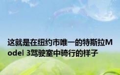 这就是在纽约市唯一的特斯拉Model 3驾驶室中骑行的样子