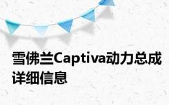 雪佛兰Captiva动力总成详细信息