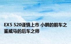 EX5 520谨慎上市 小鹏的前车之鉴威马的后车之师