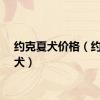 约克夏犬价格（约克夏犬）