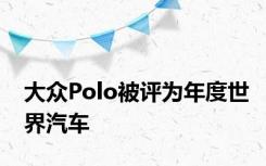 大众Polo被评为年度世界汽车