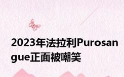 2023年法拉利Purosangue正面被嘲笑