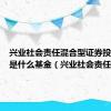 兴业社会责任混合型证券投资基金是什么基金（兴业社会责任）