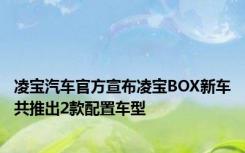 凌宝汽车官方宣布凌宝BOX新车共推出2款配置车型
