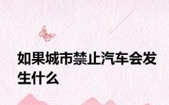 如果城市禁止汽车会发生什么