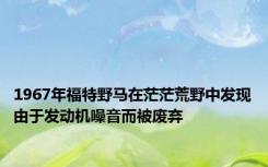 1967年福特野马在茫茫荒野中发现由于发动机噪音而被废弃