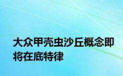 大众甲壳虫沙丘概念即将在底特律