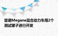 雷诺Megane混合动力车用2个测试骡子进行开发