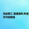 风起香江 潮涌淮畔,蚌港文旅携手共绘新篇