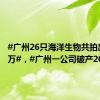 #广州26只海洋生物共拍出2100万#，#广州一公司破产26