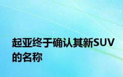 起亚终于确认其新SUV的名称