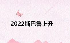 2022斯巴鲁上升