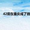 42度在重庆成了微热