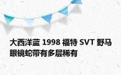 大西洋蓝 1998 福特 SVT 野马眼镜蛇带有多层稀有