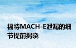 福特MACH-E泄漏的细节提前揭晓