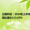 云鼎科技：2024年上半年净利润同比增长113.43%