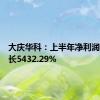 大庆华科：上半年净利润同比增长5432.29%