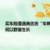 买车险遭遇高仿货“车辆统筹”何以野蛮生长