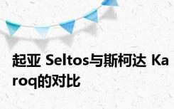起亚 Seltos与斯柯达 Karoq的对比