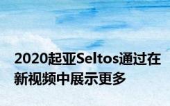 2020起亚Seltos通过在新视频中展示更多