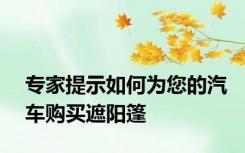 专家提示如何为您的汽车购买遮阳篷