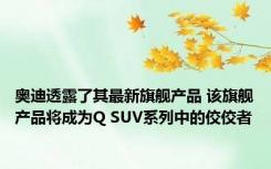 奥迪透露了其最新旗舰产品 该旗舰产品将成为Q SUV系列中的佼佼者