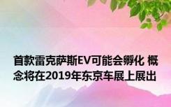 首款雷克萨斯EV可能会孵化 概念将在2019年东京车展上展出