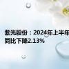 紫光股份：2024年上半年净利润同比下降2.13%