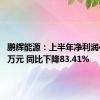 鹏辉能源：上半年净利润4167.9万元 同比下降83.41%