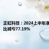 正虹科技：2024上半年净利润同比减亏77.19%