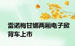 雷诺梅甘娜两厢电子掀背车上市