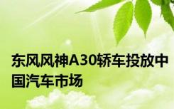 东风风神A30轿车投放中国汽车市场