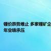 锂价跌势难止 多家锂矿企业上半年业绩承压